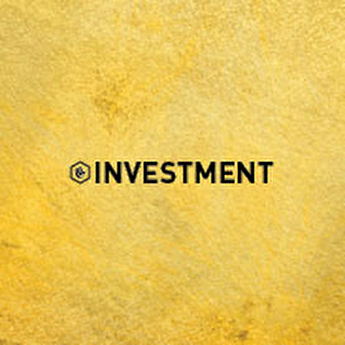 Investment