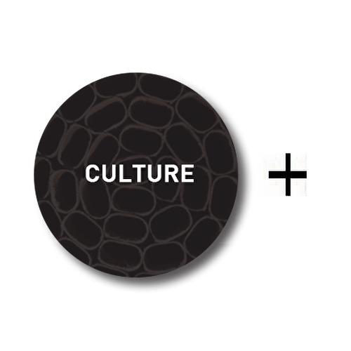 Culture